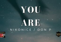 YOU ARE - NikoNice feat. DON P (Official Lyric Video) Afro Type Beat