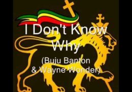 I Don't Know Why - Buju Banton & Wayne Wonder